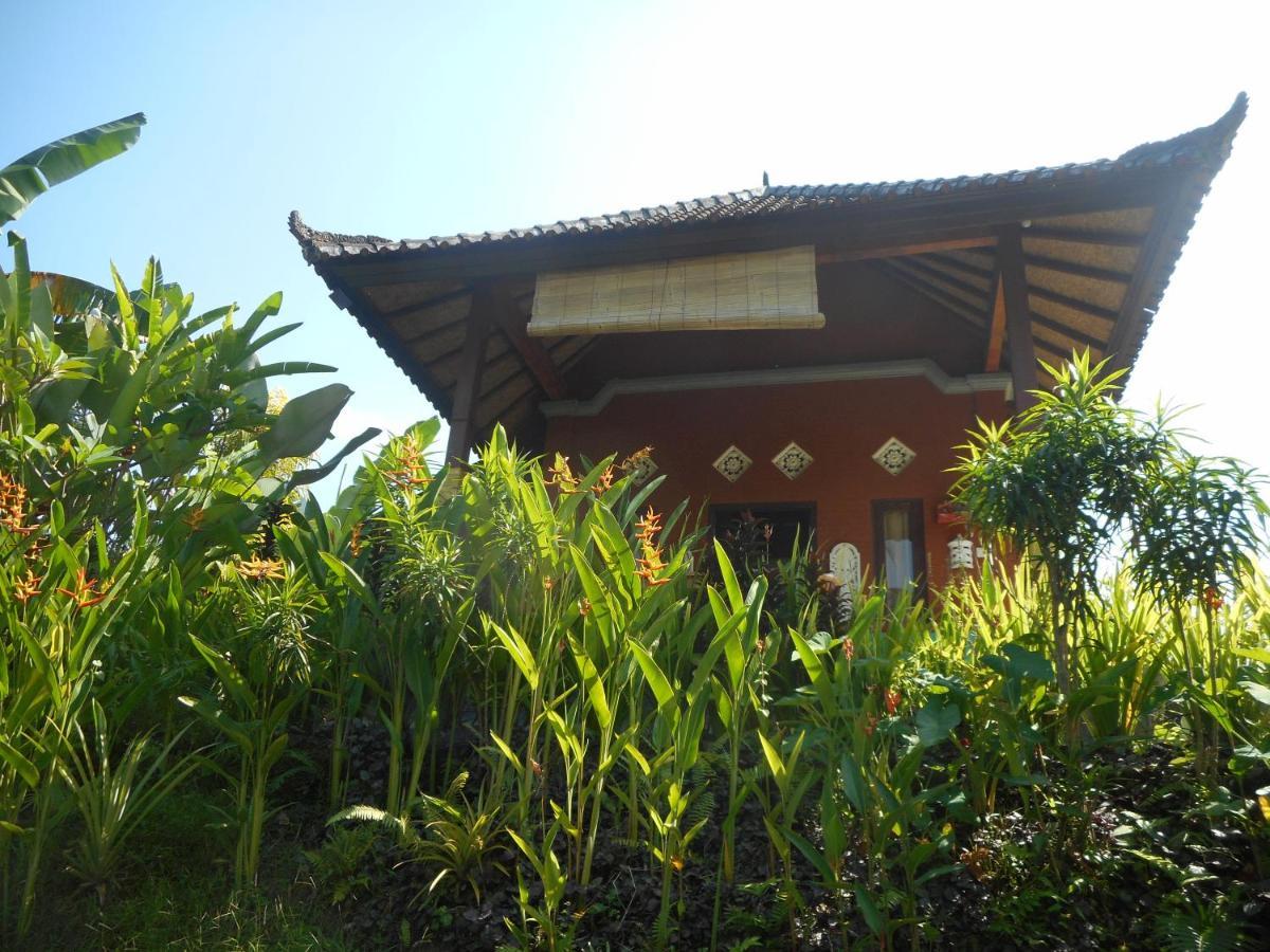 Cegeng Lestari Guesthouse Sidemen  Εξωτερικό φωτογραφία